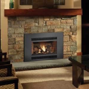 Radiant Plus Large Gas Fireplace Inse