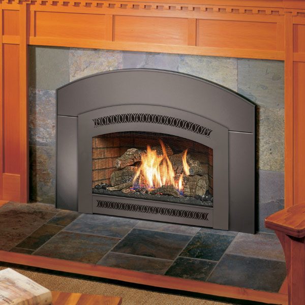 32 DVS Gas Fireplace Insert - Porter's Mountain View Supply